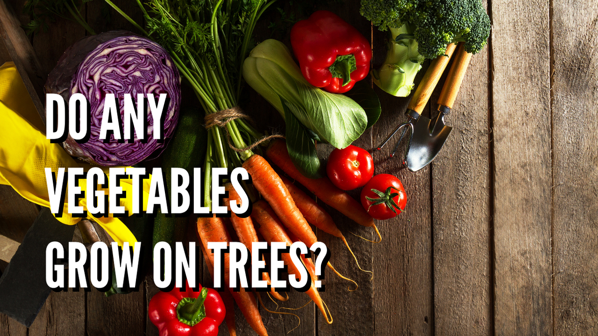 Do Any Vegetables Grow on Trees?