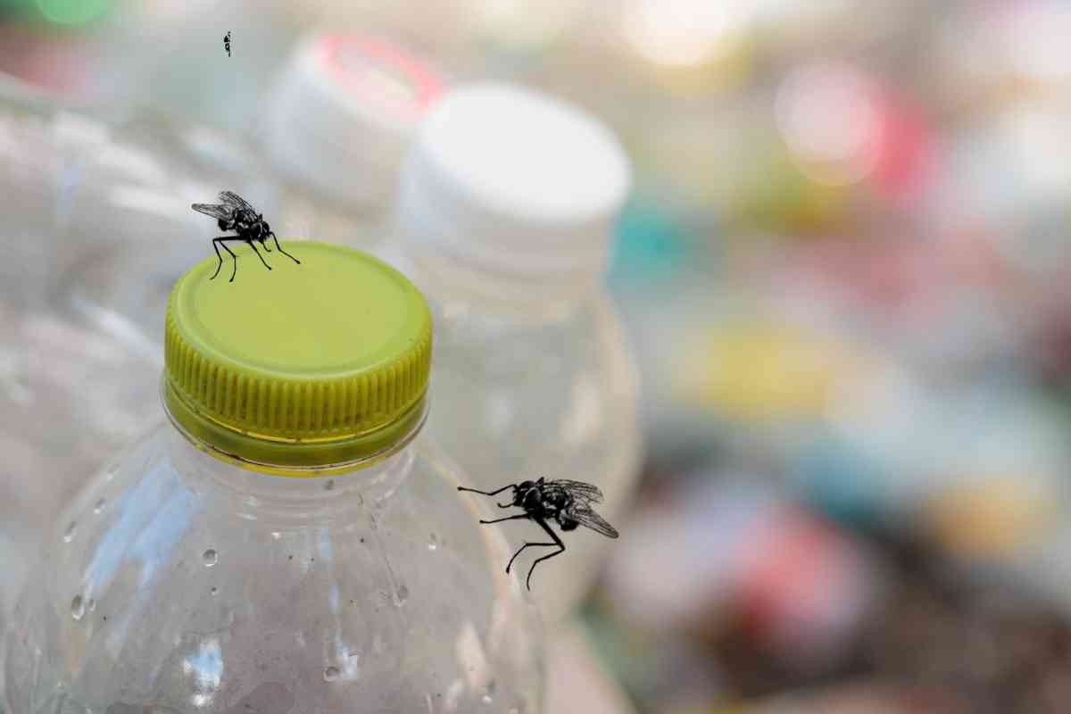 How To Make A Bug Hotel From a plastic bottle/cardboard