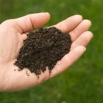 Does Organic Soil Have Bugs