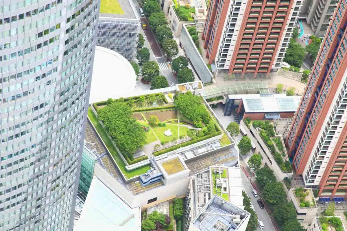 What is Rooftop Gardening? (Beginner Guide and Benefits)