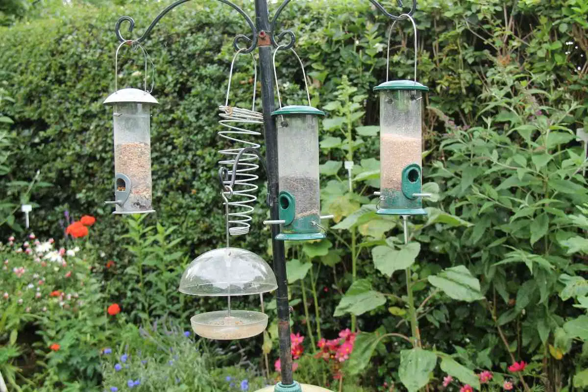 How Tall Should a Bird Feeder Pole Be?