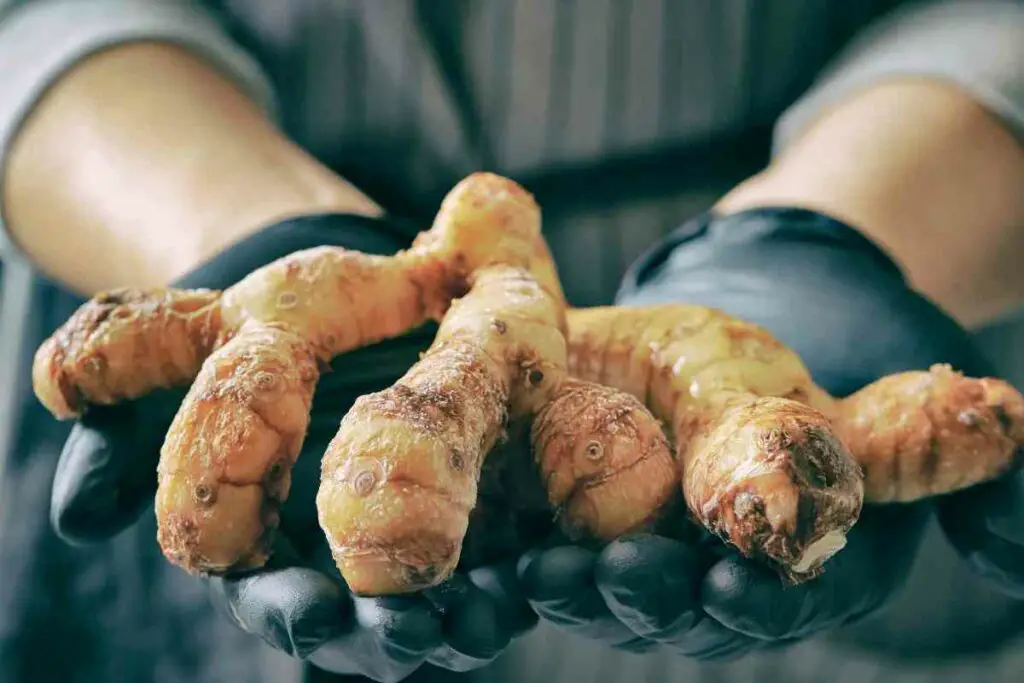 Can You Compost Ginger?