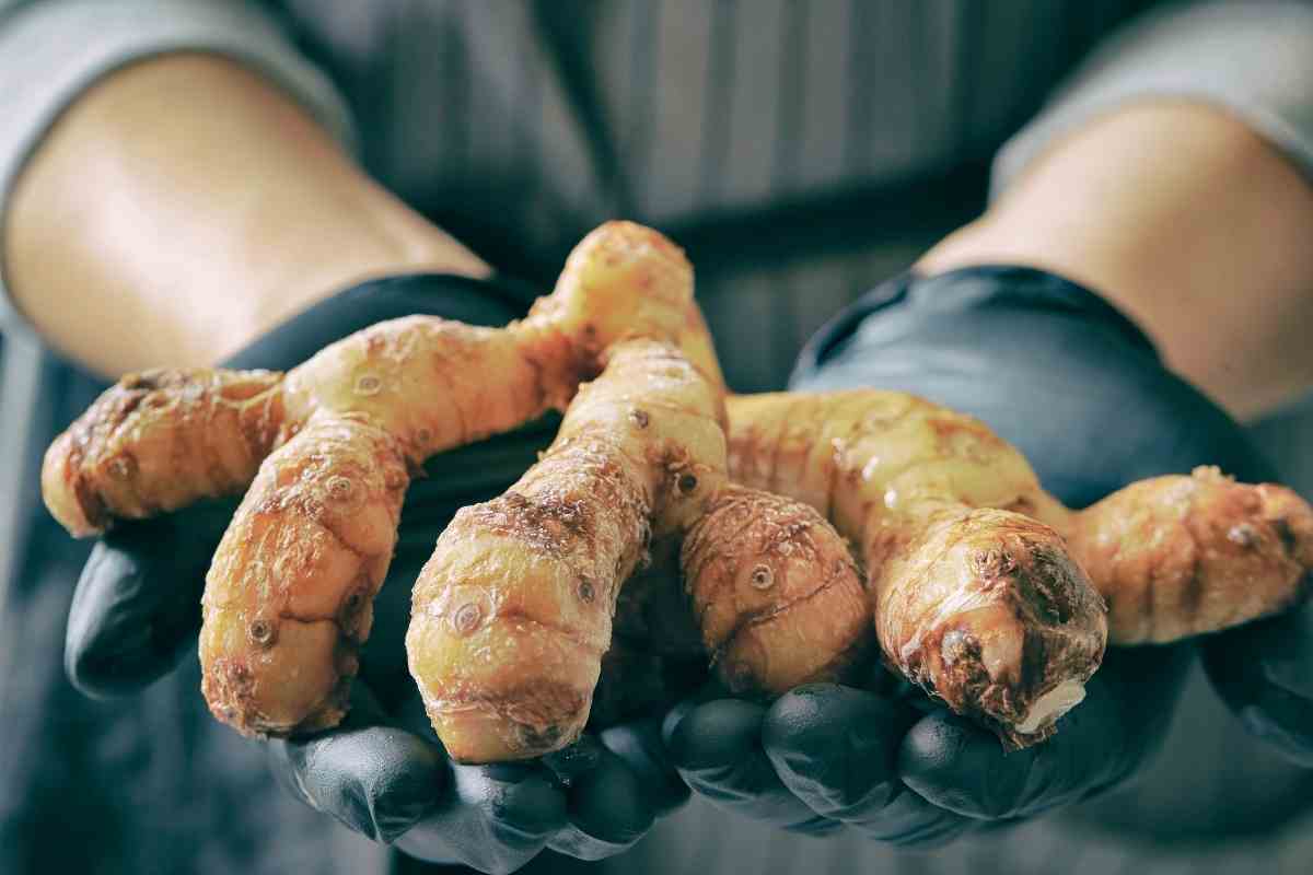 Can You Compost Ginger?
