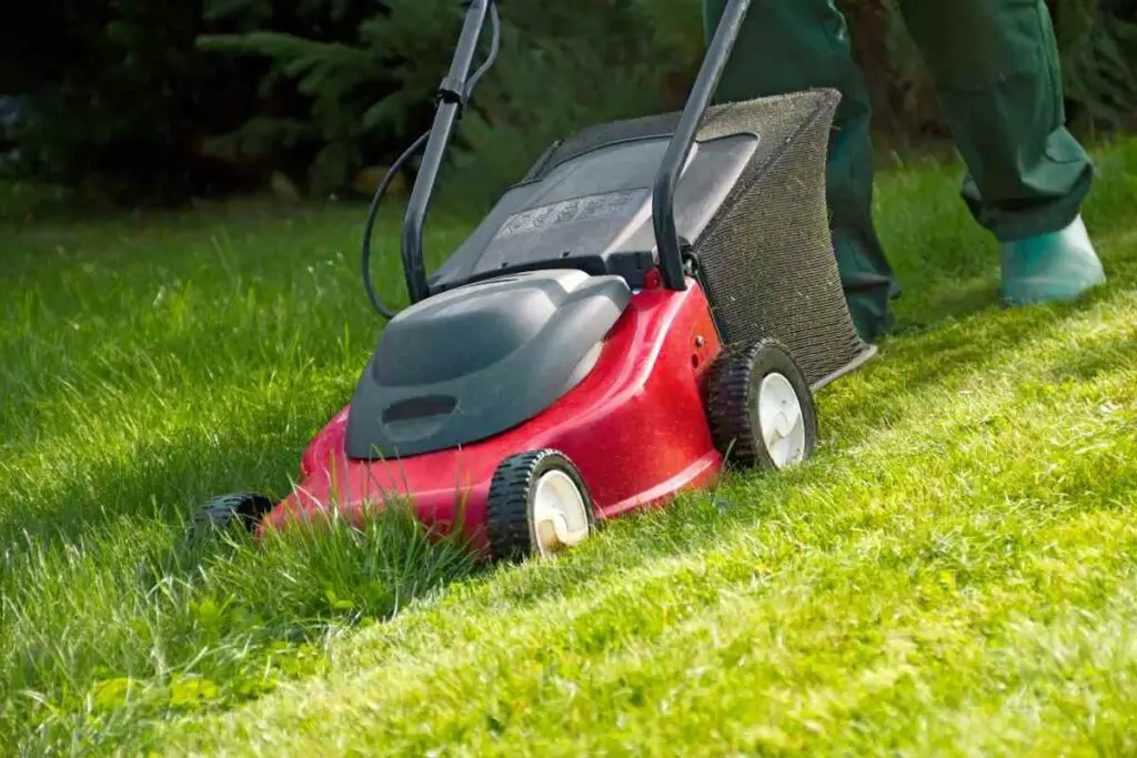 Change lawn mower settings to get rid of clover