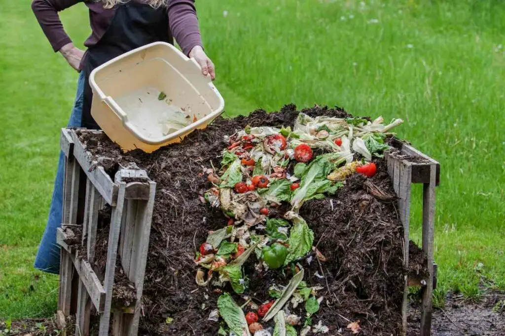 Not Enough Nitrogen compost problem