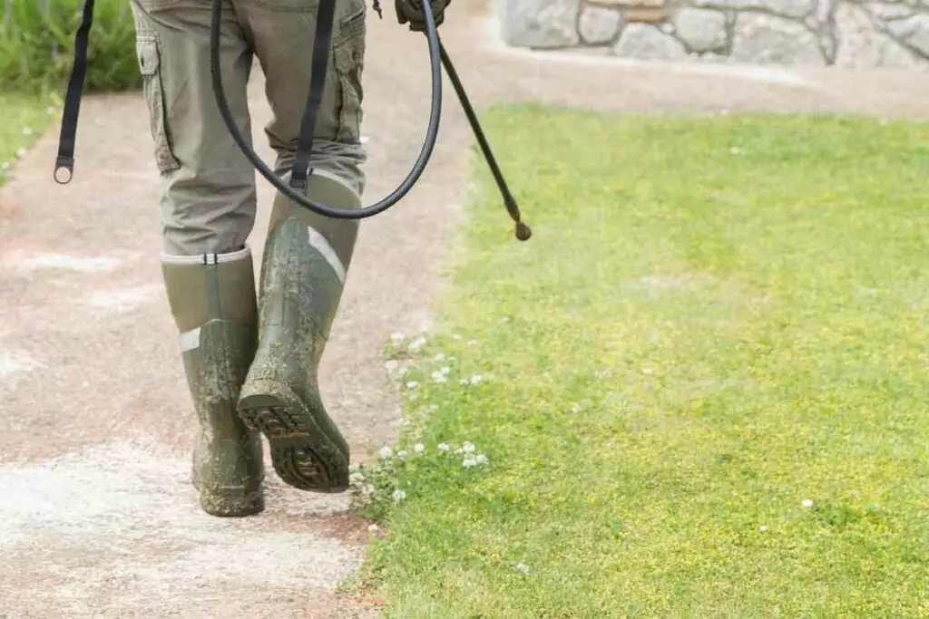 How Long Until Pre-Emergent Herbicide Works?