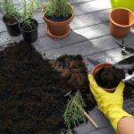 How To Put Manure in Potted Plants