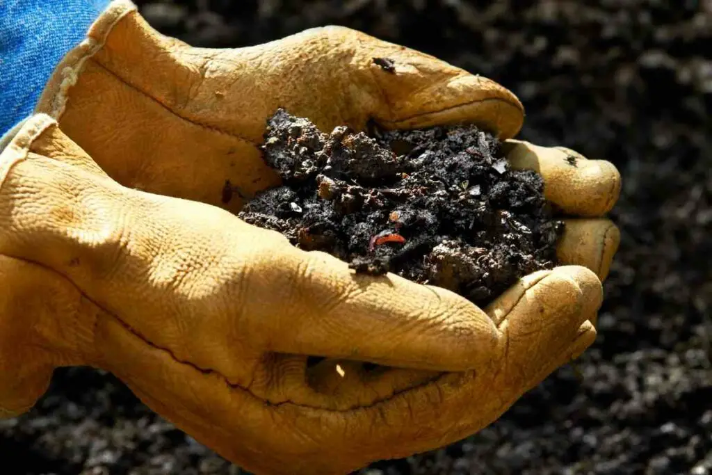 Wet or dry compost