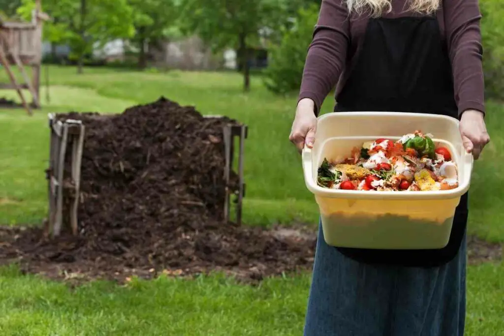 Why Is My Compost Not Getting Hot?