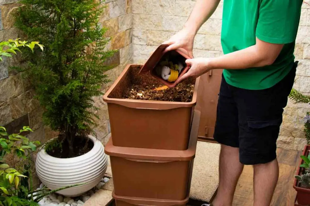 Coffee Grounds & Soil Structure