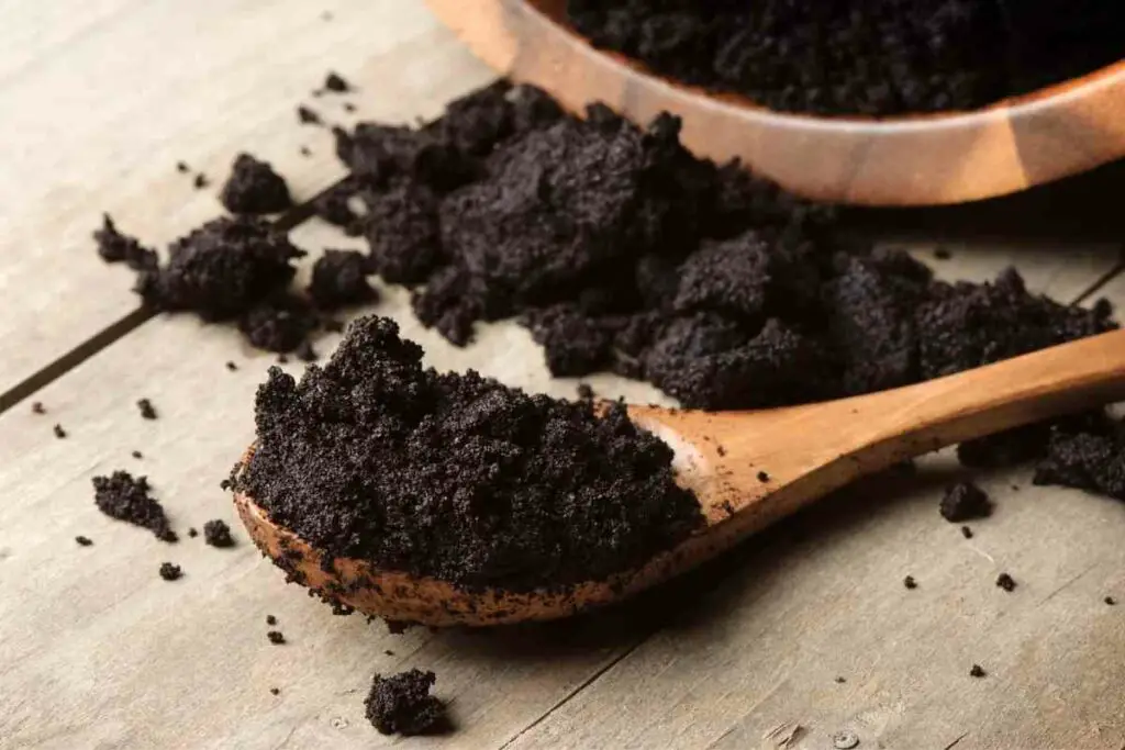 Why Should I Compost Coffee Grounds? 