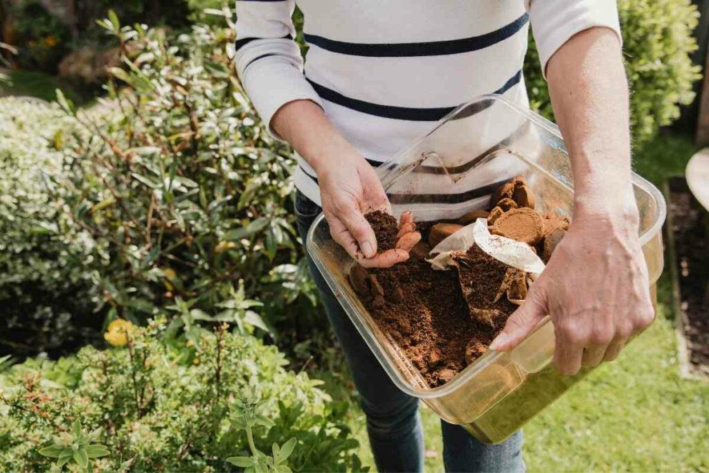 Composting With Coffee Grounds Benefits