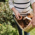 Composting With Coffee Grounds Benefits