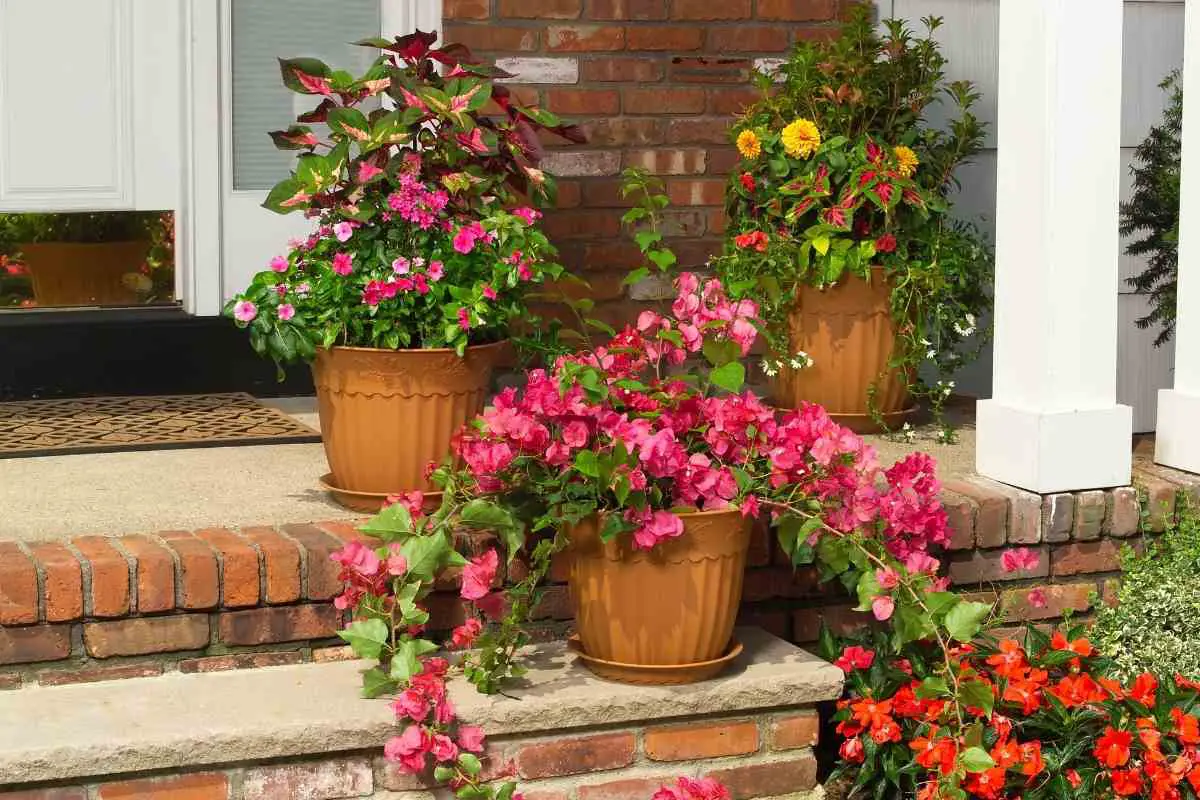 What Size Drainage Holes in Planters?