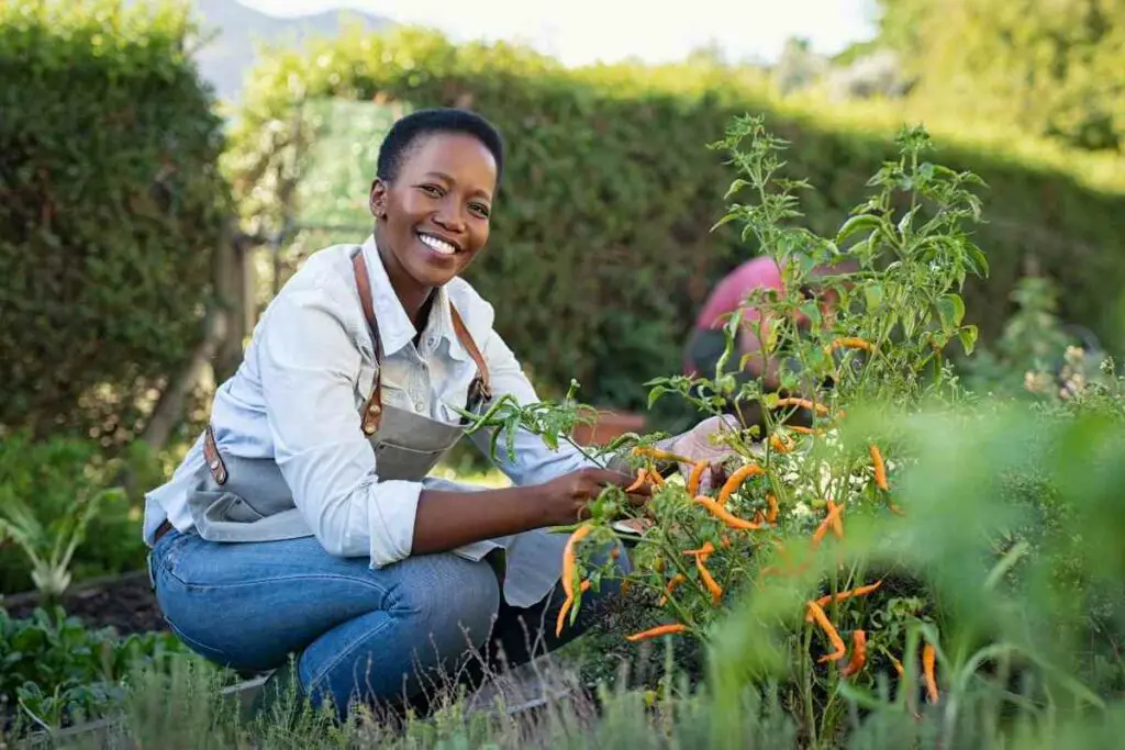 Grow different vegetables in the same plot