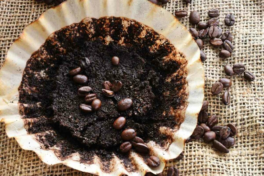How to compost coffee grounds guide
