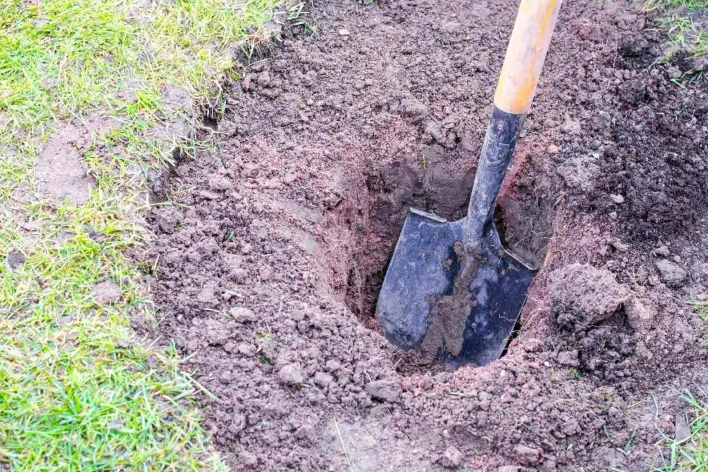 Digging in backyard