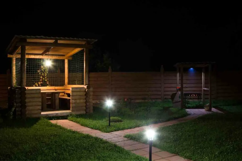 Garden lights affect plants explained