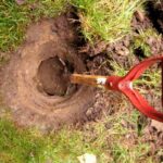 digging with a garden shovel