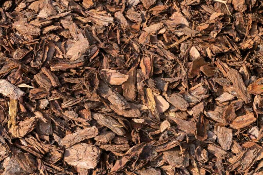 Pine bark mulch surface for dogs