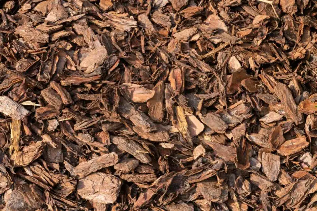 Pine bark mulch surface for dogs