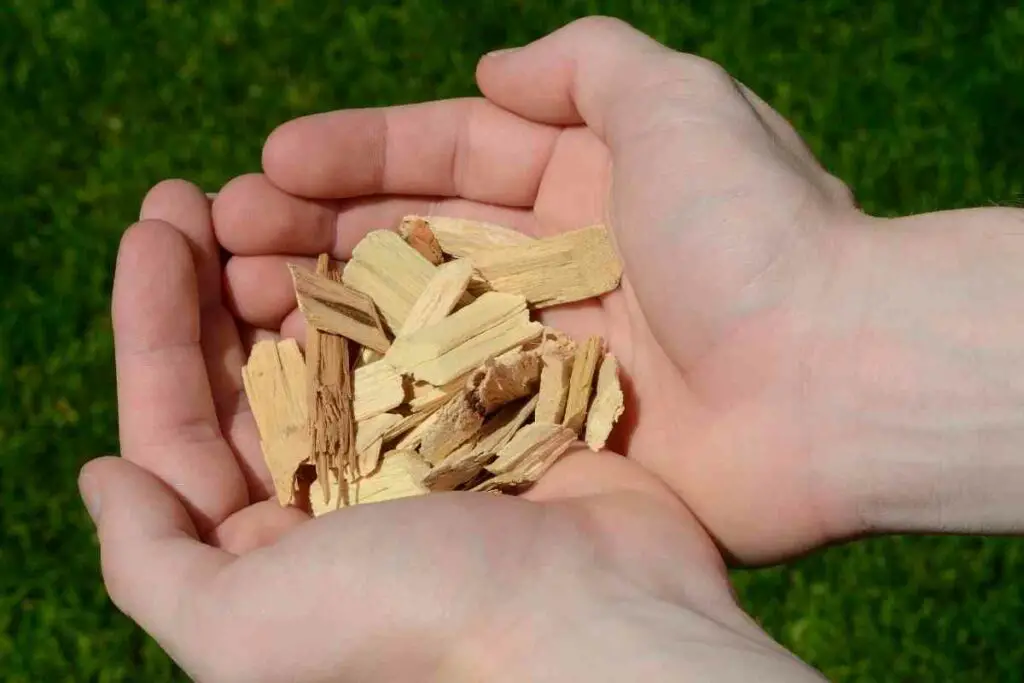 Types of wood chip to avoid in gardens explained