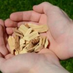 Types of wood chip to avoid in gardens explained