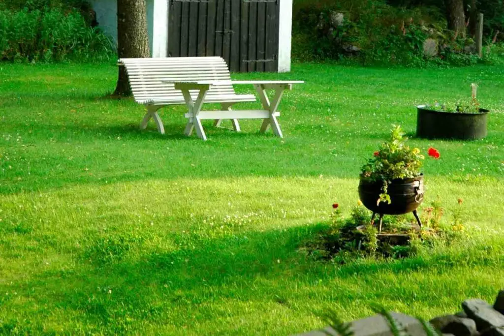 Perfectly even backyard lawn