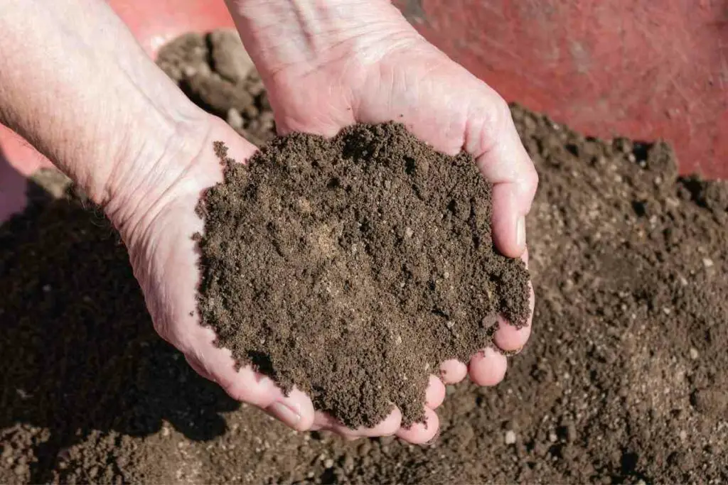 Topsoil uses for garden