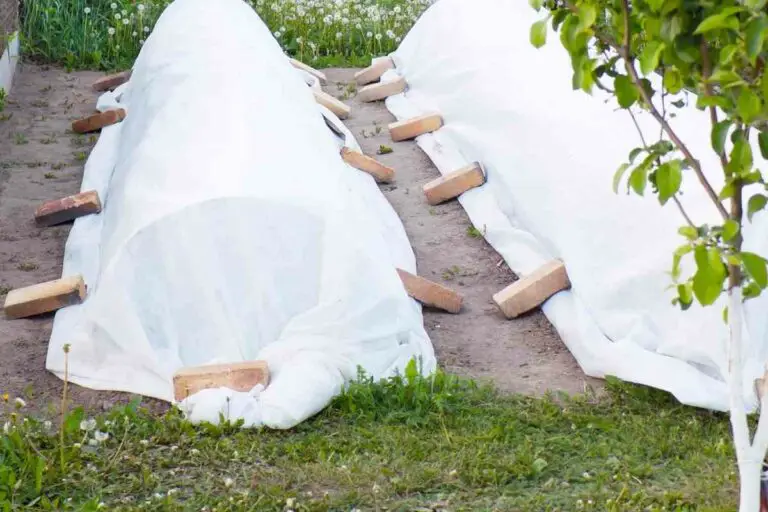 Do Plastic Tarps Protect Plants From Frost?