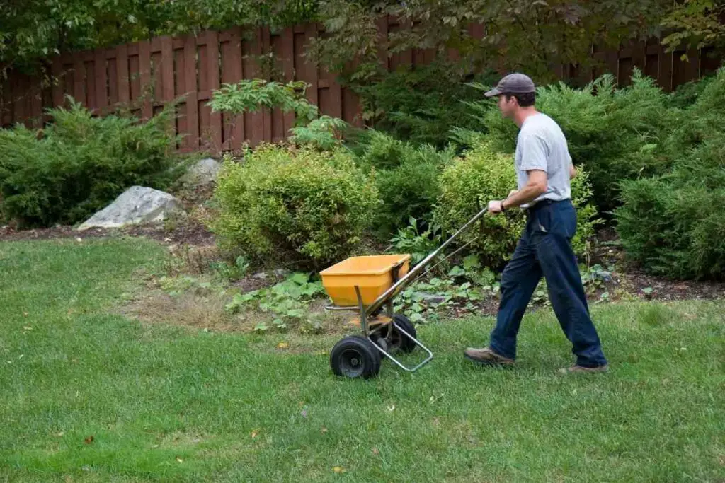 Winter fertilizer is necessary 