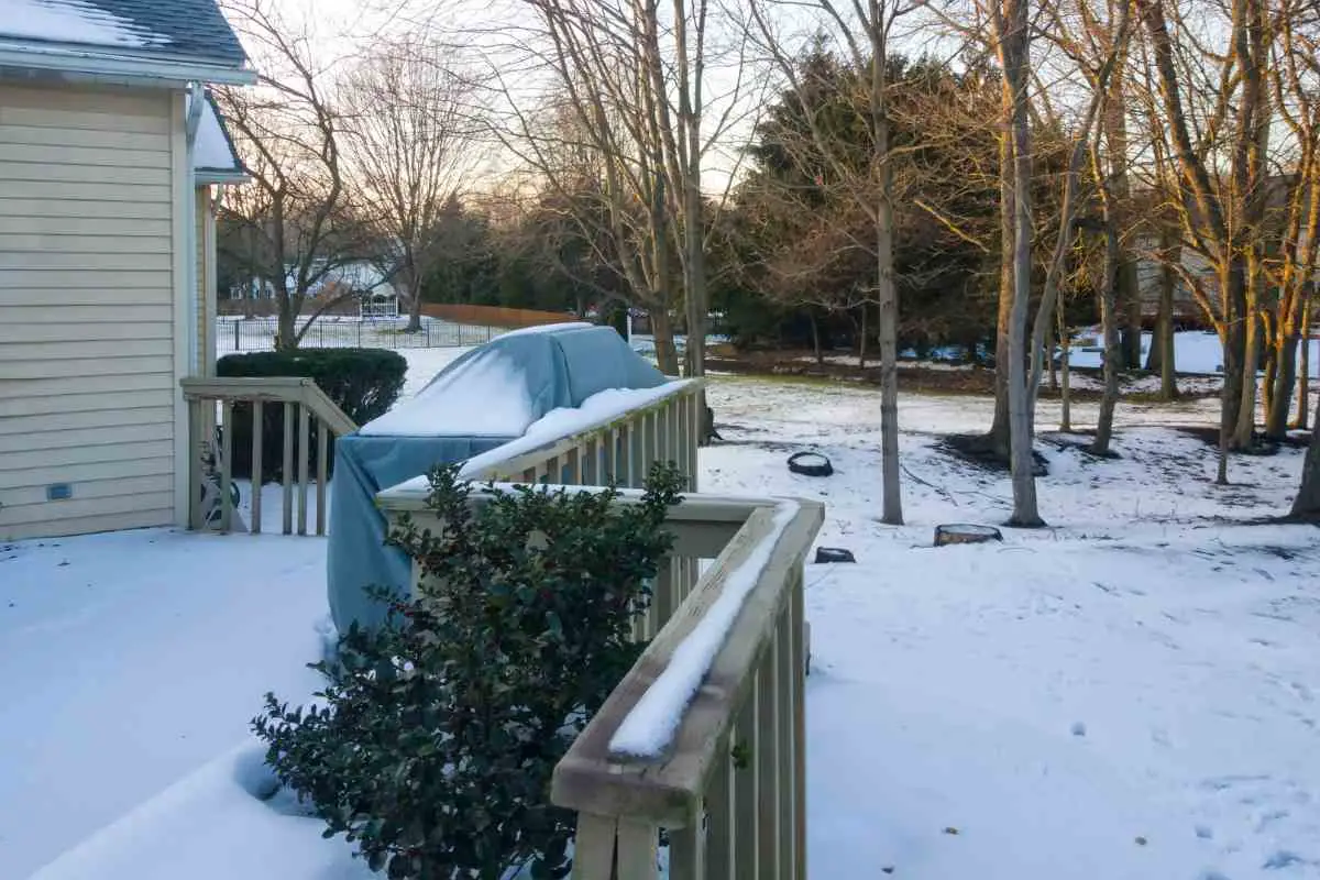 How Short To Cut Grass Before Winter how-short-to-cut-grass-before-winter