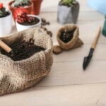 Storing potting soil over winter tips