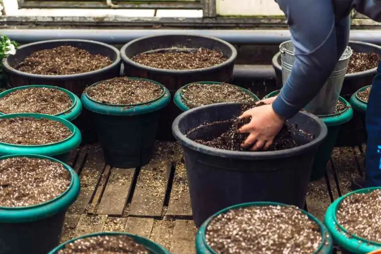 How To Store Potting Soil Over Winter