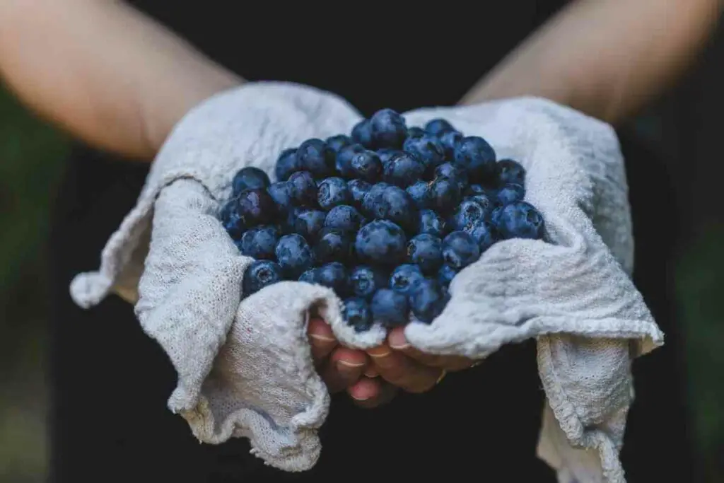 Blueberries have seeds