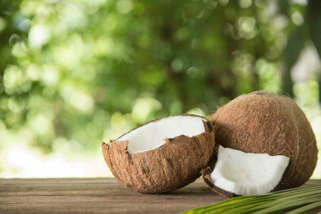 Coconut without seeds