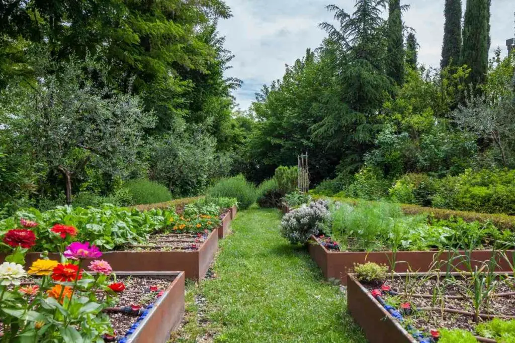 Manually pollinate vegetables in the garden