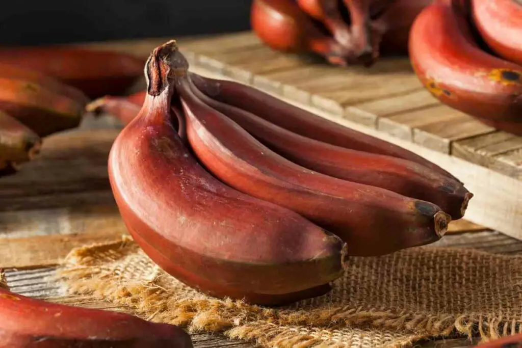 Red banana fruit