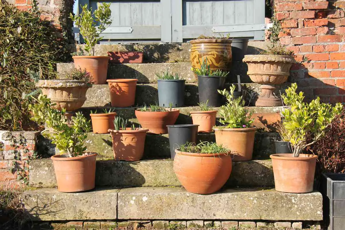 Do Ceramic Plant Pots crack in winter?