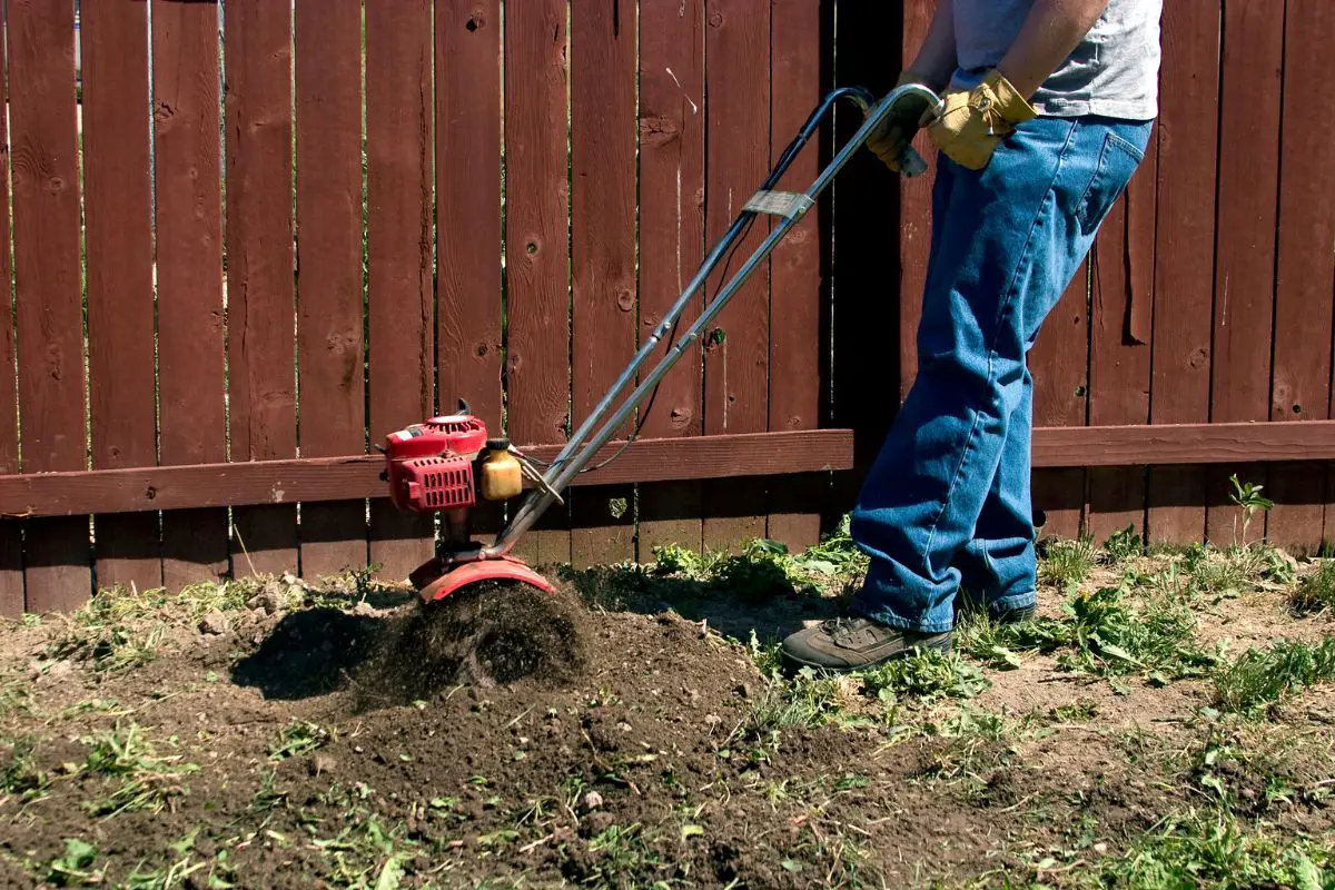 Tilling Your Backyard A StepbyStep Guide to Preparing Your Soil for