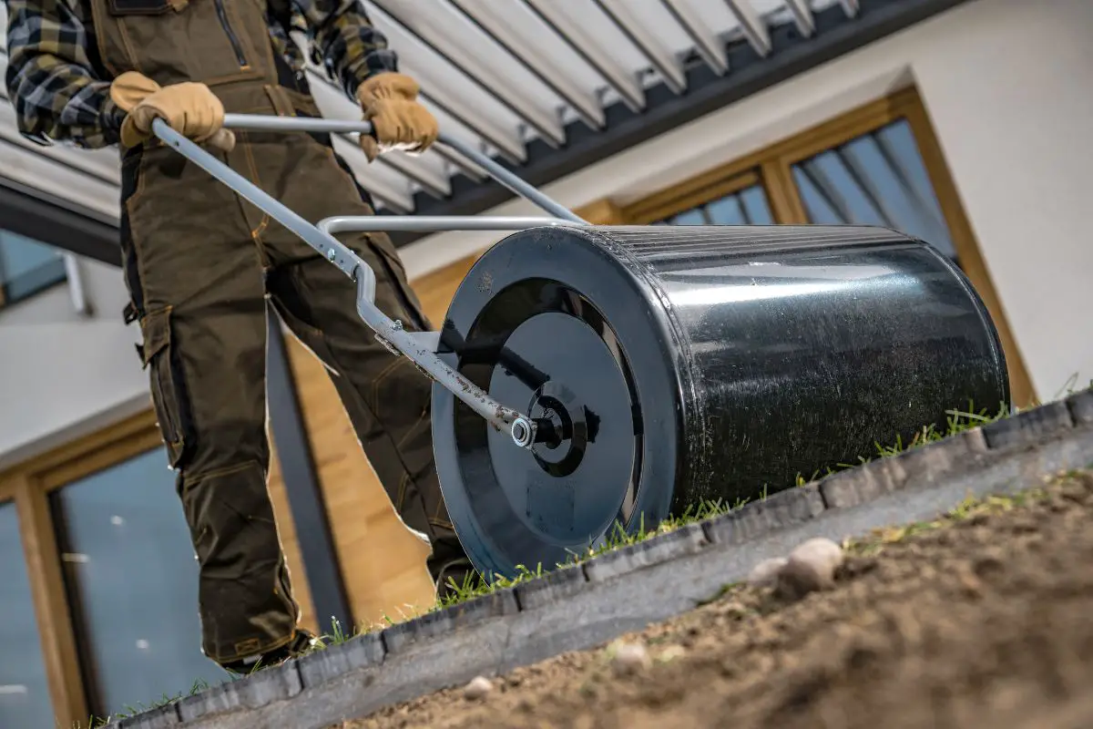 The Best Time to Roll Your Yard