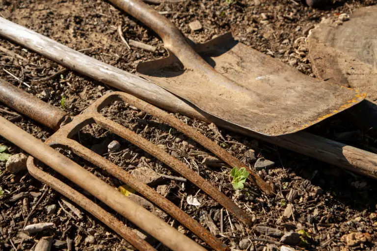 Garden Tool Maintenance What Type of Oil to Use for Garden Tools?