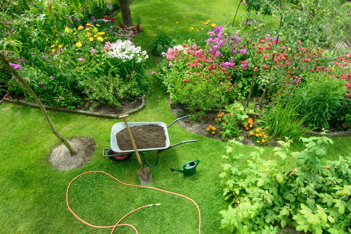 Gorilla Carts on Sand Everything You Need to Know