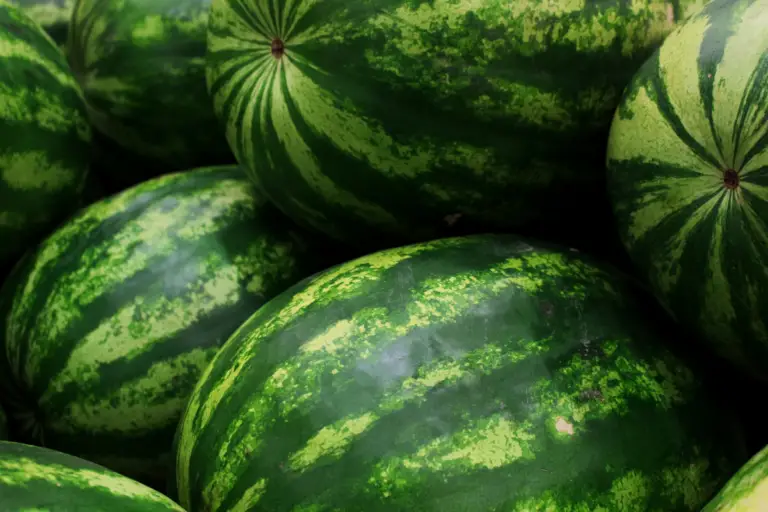 Do Watermelons Grow on Trees?