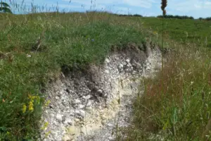 Chalky Soil Characteristics: Understanding Soil Composition and Properties